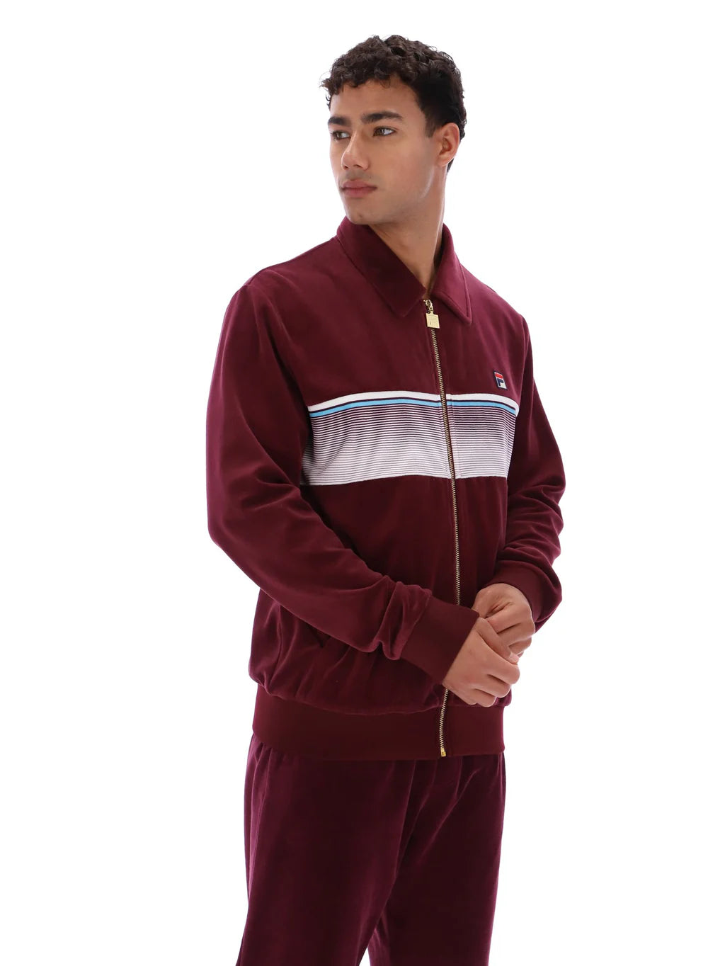 Fila Vintage Men's Malakai Striped Track Top Fig / Milky Blue / Gardenia